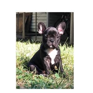 Meet your Posher, Luis